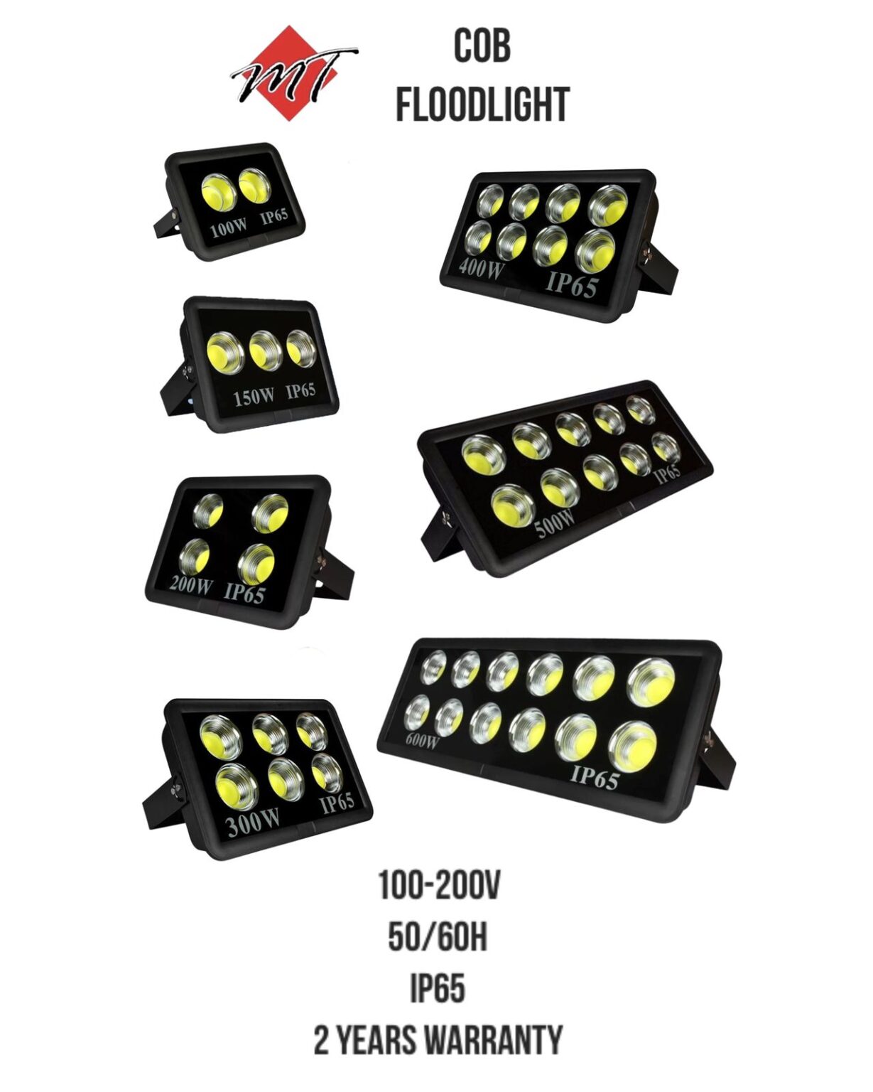 COB flood light