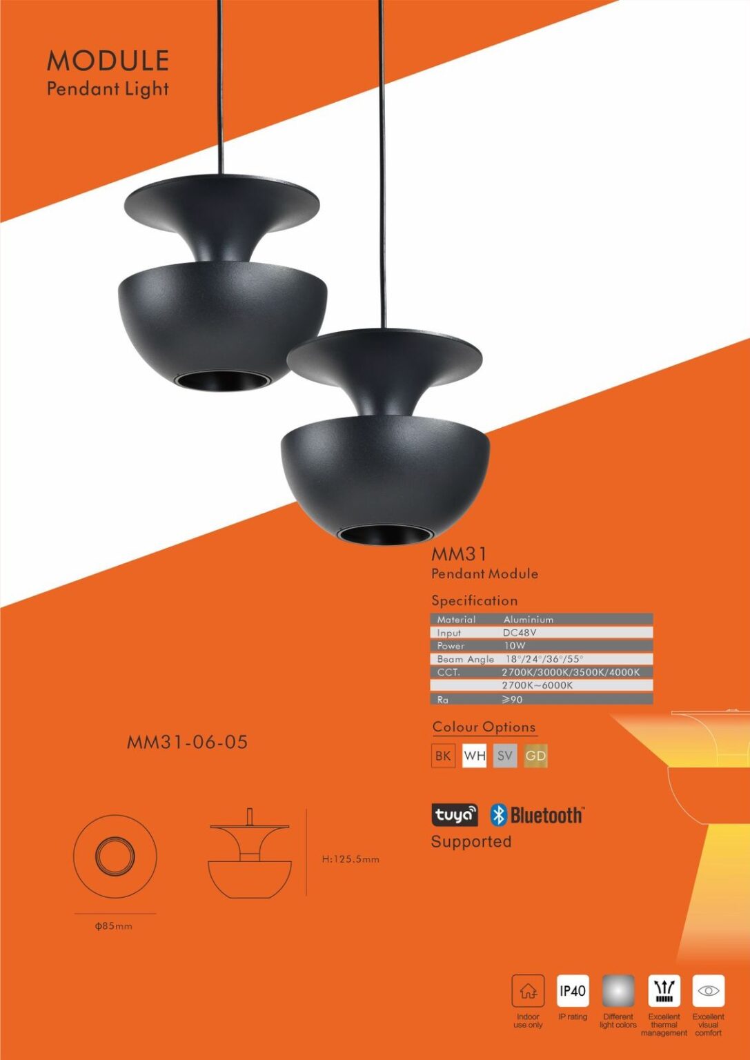 Magnetic modules lighting