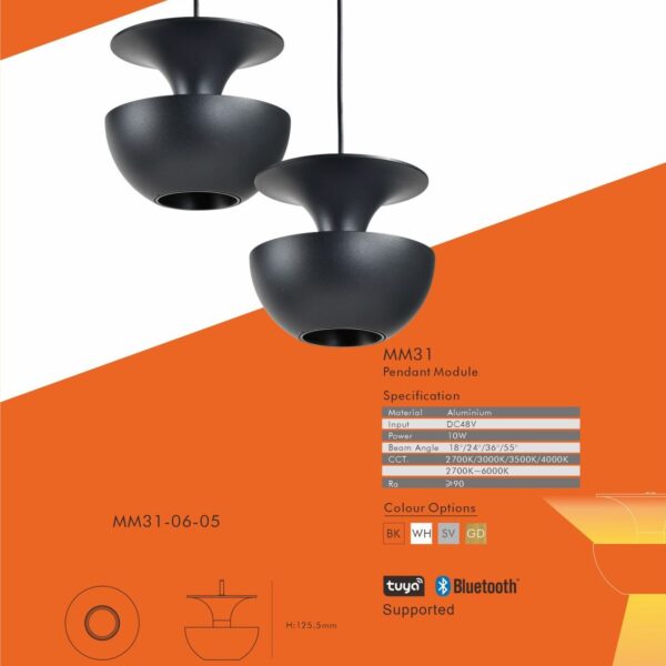 Magnetic modules lighting