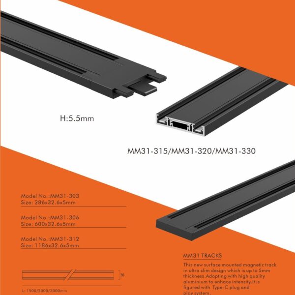 Magnetic modules lighting