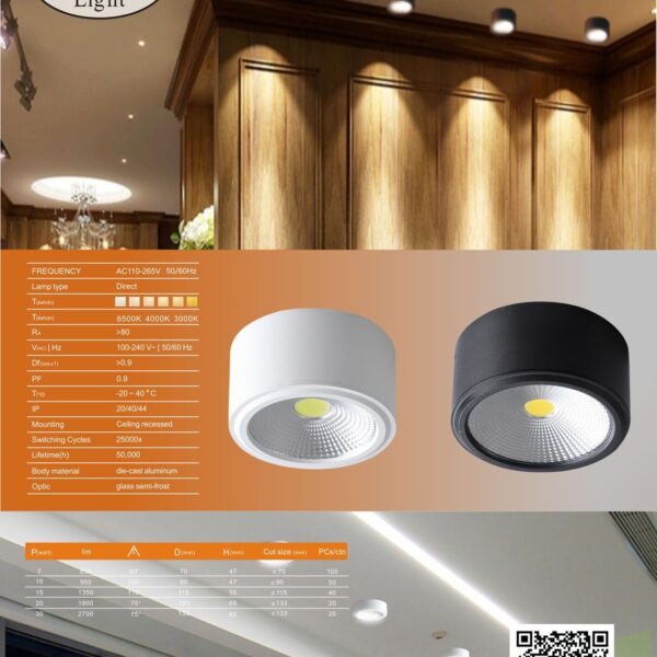 Cylindrical down light