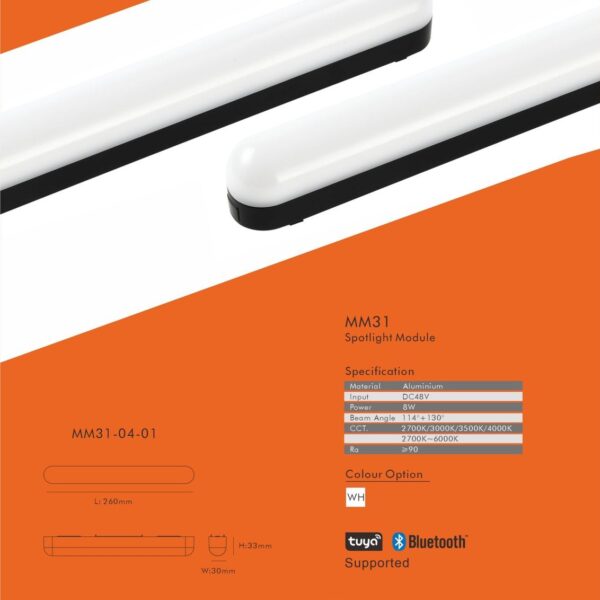 Magnetic modules lighting