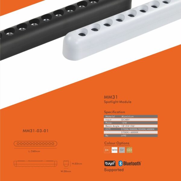 Magnetic modules lighting