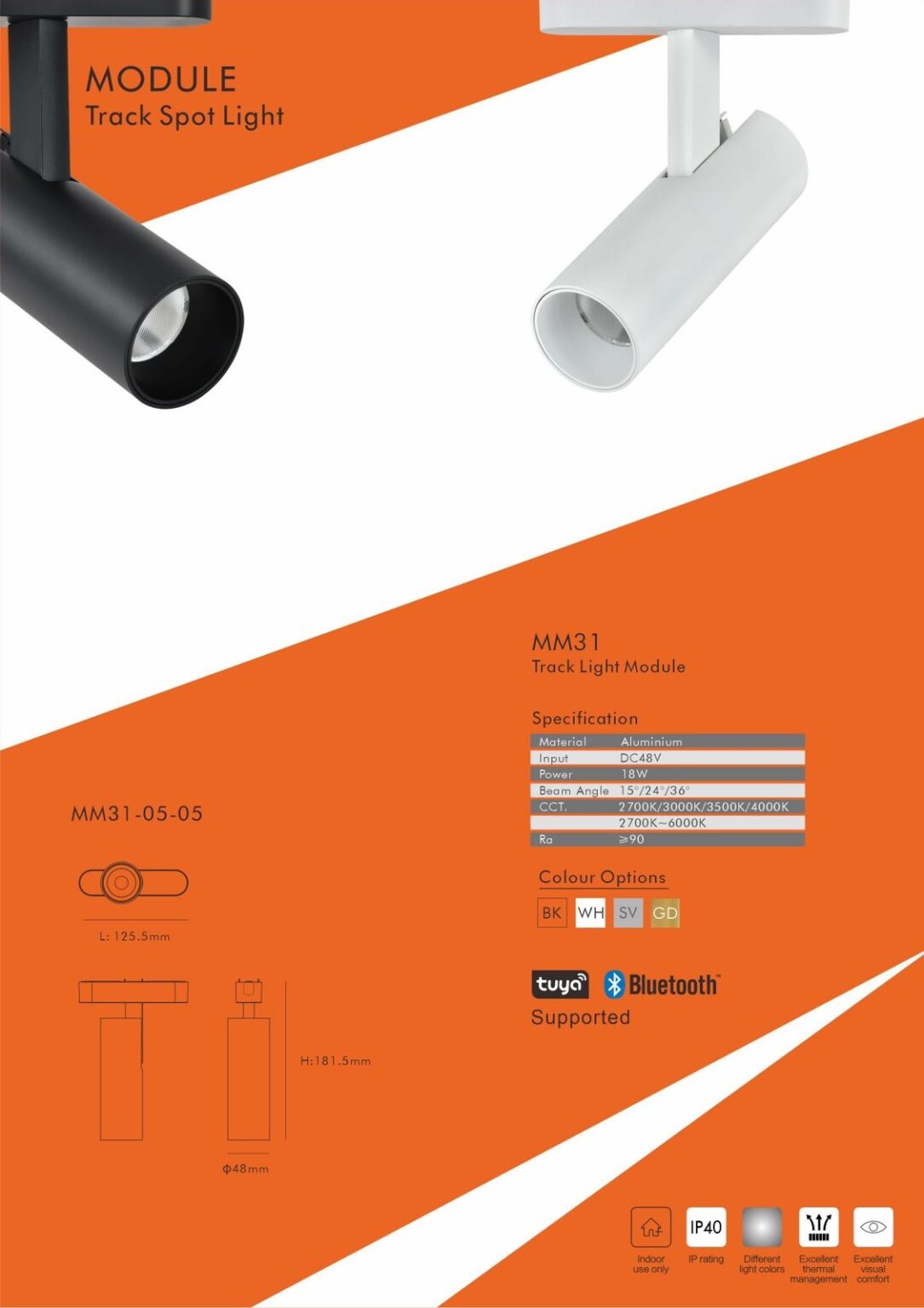 Magnetic modules lighting