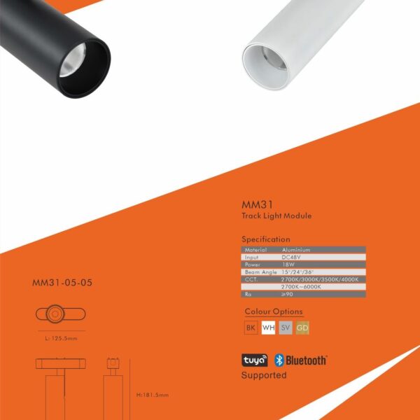 Magnetic modules lighting
