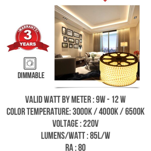 Led strip MT - 3 years warranty